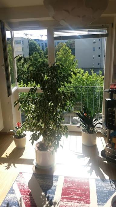 1 With 2rooms In