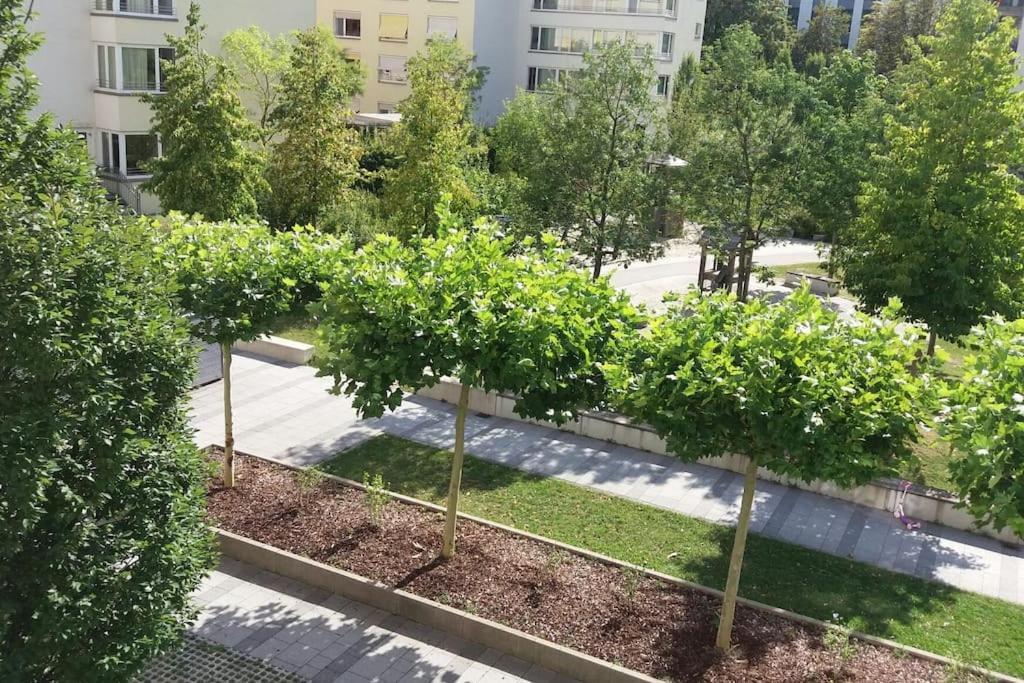 Appartamento 1 With 2rooms In *