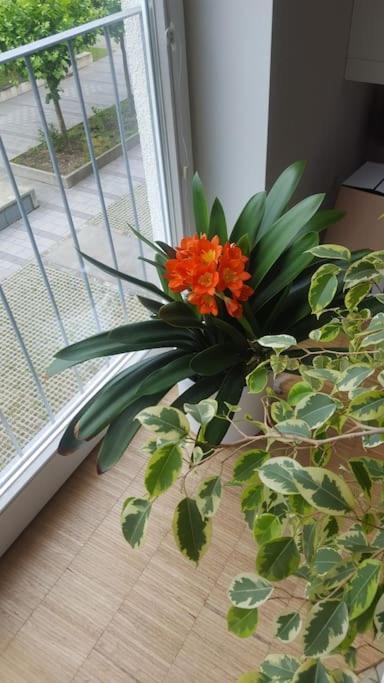 1 With 2rooms In Monaco di Baviera